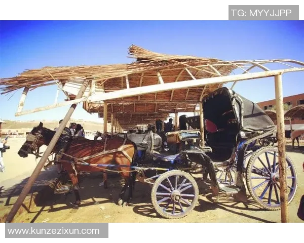 埃及足球明星阿布的传奇人生与职业生涯回顾